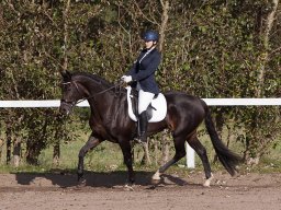 2017 Udkantscup dressur ØLR september